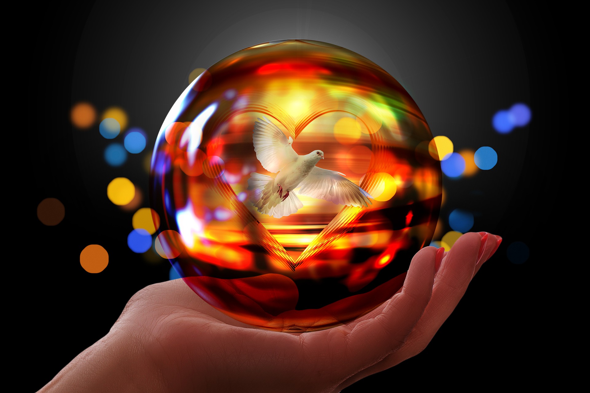 dove-of-peace-4263763_1920